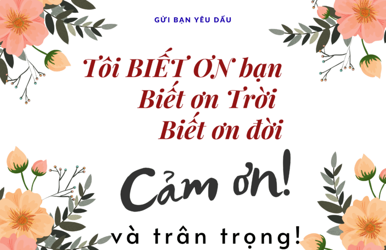 Đừng phàn nàn nữa hãy biết ơn