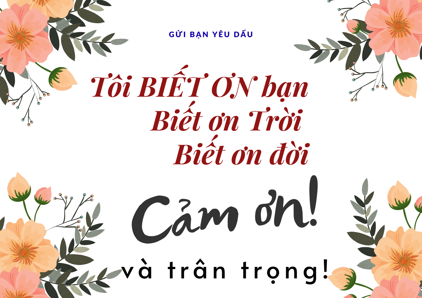 Đừng phàn nàn nữa hãy biết ơn